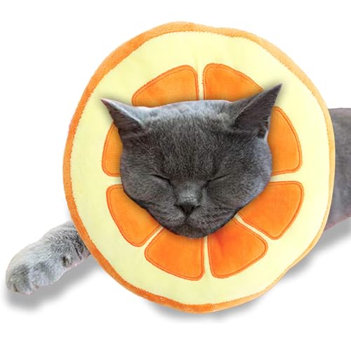 SunGrow Orange Cat Cone Collar Soft, Pet Recovery Elizabethan E Collar Neck Cone to Stop Licking for Cats & Kittens After Surgery, Cat Surgical Recovery Suit for Wundcover, Puppy Dog & Rabbit Cone von SunGrow