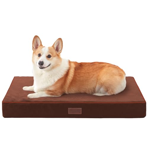 Kleines Hundebett für kleine Hunde – Outdoor-Hundebett waschbar mit Oxford-Stoffoberfläche, orthopädisches Schaumstoff-Haustierbett für bis zu 11,3 kg mit abnehmbarem Bezug, maschinenwaschbar (Braun, von SunStyle Home