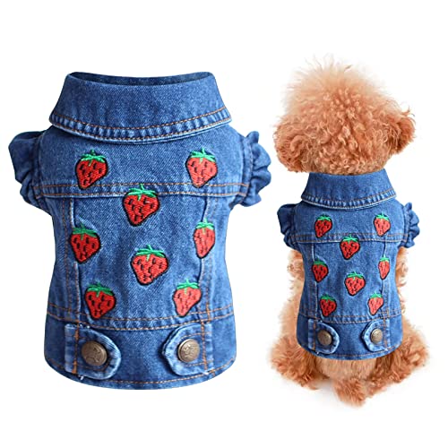 Haustier Jacke Denim Hundekleidung Hund Weste Haustier Jeansjacke für Kleine Mittlere Hunde Katzen Jacke Pullover Nette Cartoon-Stickerei Hundeweste Pullover Frühling Herbst Winter (L, Blau) von Sundaylikelife