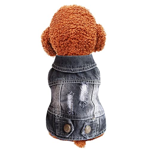 Sundaylikelife Haustier Jacke Hundekleidung Hund Denim Weste Jeansjacke für Kleine Mittlere Hunde Katzen Pullover Nette Hundeweste Frühling Herbst Winter (S, Schwarz) von Sundaylikelife