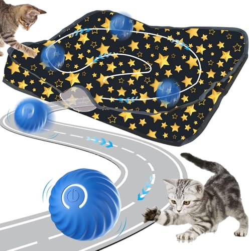 Interaktives Katzenspielzeug Matte,2 in 1 Simuliertes Interaktives Jagd Katzenspielzeug,Interactive Cat Toys,Interaktive Trainingsmatte Katzen,Interaktives Spielzeug für Katzen Trainingsmatte von Sunshine smile