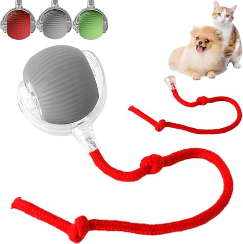 Rolling Ball,Interaktives Hundespielzeug Ball mit Schnur,Automatisch Rollender Ball für Kleine,Katzenspielzeug Elektrisch mit USB Aufladbar,Interactive Cat Toys Rolling Ball für Katzen Hunde von Sunshine smile