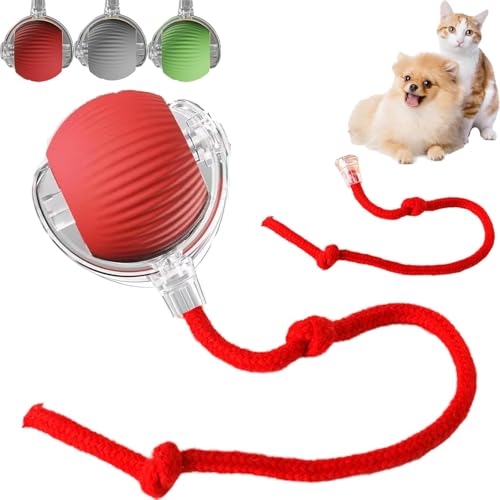 Rolling Ball,Interaktives Hundespielzeug Ball mit Schnur,Automatisch Rollender Ball für Kleine,Katzenspielzeug Elektrisch mit USB Aufladbar,Interactive Cat Toys Rolling Ball für Katzen Hunde von Sunshine smile