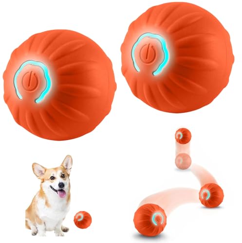 2 Stück Selbstrollender Ball Hund,Selbstrollender Ball für Hunde,Interaktives Hunde Ball Spielzeug,Hundespielzeug,Ball Interaktives Hundespielzeug Ball,Interaktives Hundespielzeug,Wicked Ball Hund von Sunshine smile