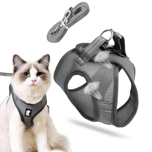 Katzenleine mit Geschirr für Katzen,Hundegeschirr,katzengeschirr mit leine,cat harness and leash,katzengeschirr kleine katze,Katzengeschirr Geschirr,Katzengeschirr und Leine Set,Outdoor Walking von Sunshine smile