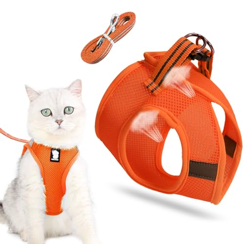 Katzenleine mit Geschirr für Katzen,Hundegeschirr,katzengeschirr mit leine,cat harness and leash,katzengeschirr kleine katze,Katzengeschirr Geschirr,Katzengeschirr und Leine Set,Outdoor Walking von Sunshine smile