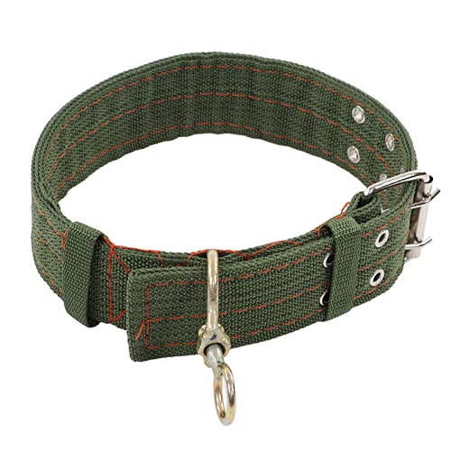 Zweireihiges Ziegenhalsband aus Canvas-Metall mit Schnalle, Dickes Halsband mit Kuhziege, Hergestellt aus Canvas- und Metallmaterialien, Dick und Langlebig, für (Groß: 48 l, 13,1 von Sunydog