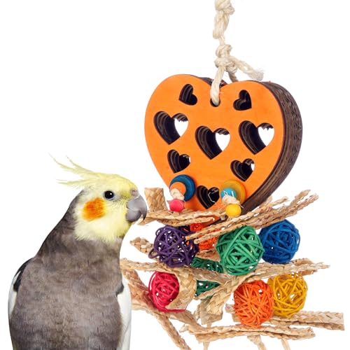 Super Bird Creations SB1207 Futterherz Vogelspielzeug – Holzherz mit knusprigen Pappschichten – ansprechender Leckerli-Halter Spielzeug für Caiques, Conures, Ringnecks, Quaker – ideal für mittelgroße von Super Bird Creations