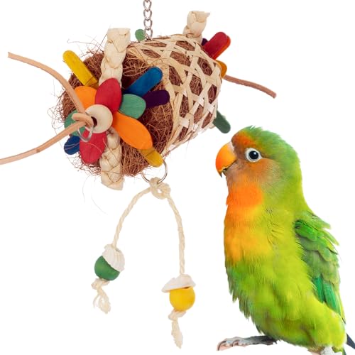 Super Bird Creations SB1226 Sidewinder Vogelspielzeug – knuspriger Bambuskorb mit Kokosfaser-Nest und bunten Eis am Stiel – Nesting Sidewinder für Preening und Futtersuche – ideal für mittelgroße von Super Bird Creations