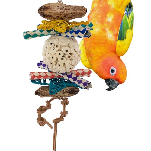 Super Bird Creations SB1240 Sola Ball Delight Vogelspielzeug – einfach zu kauen Sola- und Mahagoni-Pods – handgefertigte Vogelaktivitäten für Ringhalse, mittelgroße Conures, Caiques – ideal für von Super Bird Creations