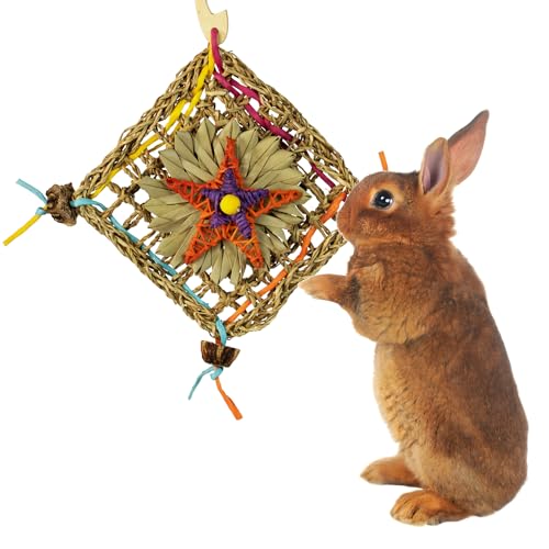 Super Bird Creations SC229 Bunny Activity Wall – Kaubares Seegras-Spielzeug, fördert das Stehen und fördert die Zahngesundheit – Kaninchen, Chinchillas und Vögel – ideal für mittelgroße Vögel und von Super Bird Creations