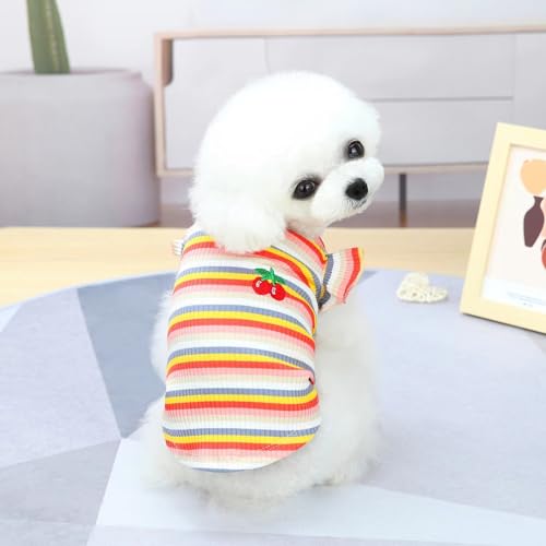 Haustierkleidung Hundebekleidung Kleine Hundekleidung Haustierbekleidung Frühling und Sommer Hundezubehör Bunte gestreifte Rockwesten (Orangefarbene Weste, XL) von Super Yafei