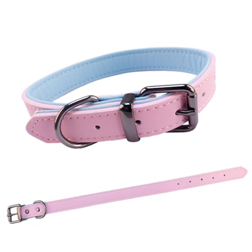 Premium Hundehalsband aus Leder, verstellbar, Rosa, modisches und elegantes Hundehalsband, bequem gepolstert, für Welpen von SuperBuddy