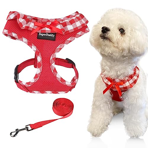 SuperBuddy Hundegeschirr, weiches Netzgewebe, super atmungsaktiv, leicht, für Welpen, Hunde, Spaziergänge im Freien, rotes Hundegeschirr und Hundeleine, Größe XS von SuperBuddy