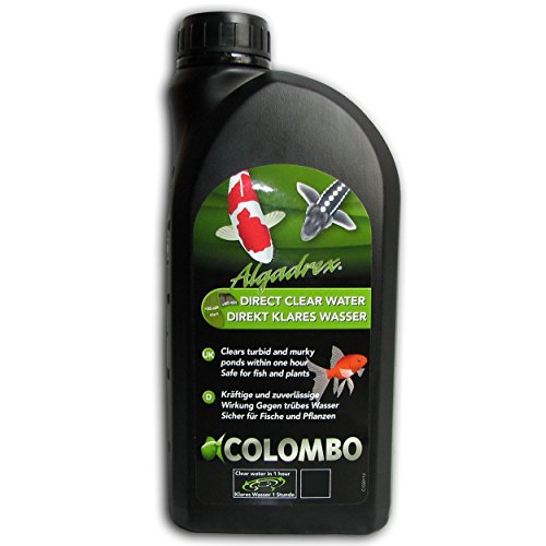 Colombo 609519/4159 Algadrex gegen grünes Wasser, Inhalt: 500 ml von Colombo