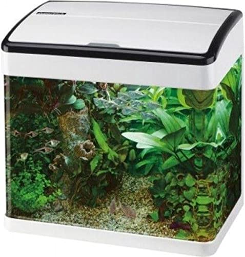 Superfish Panorama Aquarium - 45.5x29.5x45.5 cm - 50L - Wit von Superfish