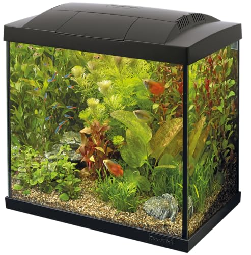 SuperFish SF Tropical Set 30 Aquarium schwarz inkl. Filter, Heizer, Wasseraufbereiter, Kescher, Thermometer und Futter von Superfish