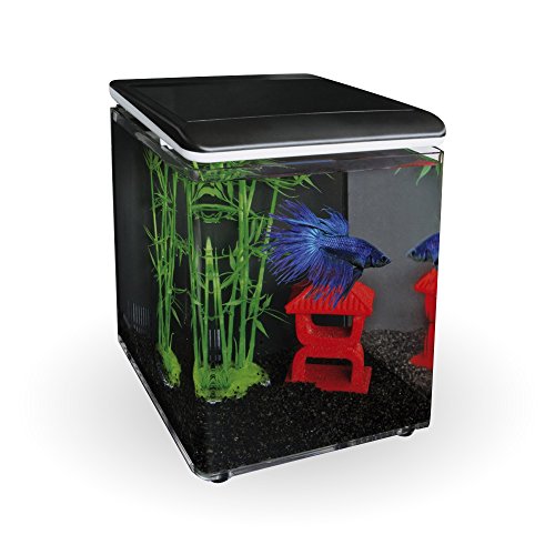 Superfish 545255/2154 Home 8 Mini-Aquarium in Schwarz von Superfish