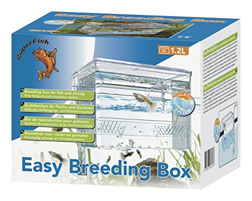 Superfish Easy Breeding Box von Superfish