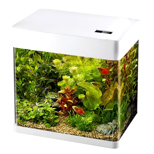 Superfish Panorama Aquarium - 32x23x35.5 cm - 20L - Wit von Superfish