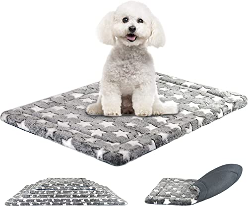 SuperKissen24. Hundematte, Katzenmatte - Reversibel Hundebett für Kleine Hund - Bett für Hunde und Katze - Katzenbett, Katzenkissen - Flauschig Hundedecke - Waschbar Hundematratze - 60x40 cm Sterne von SuperKissen24.