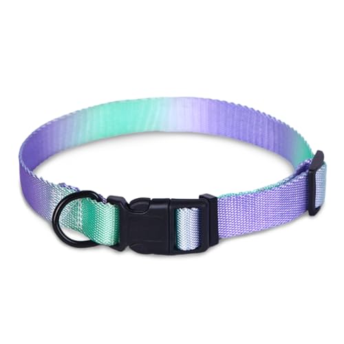 Hundehalsband Green Purple L von Supet