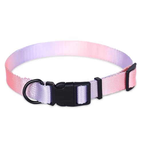 Hundehalsband Pink Purple L von Supet