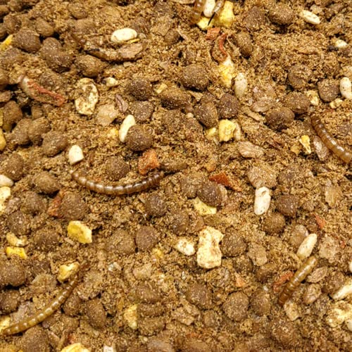 SUPRAVIT Igelfutter mit Insekten 1 kg - Artgerechtes Igel Futter mit Mehlwürmer, Krebstiere, Früchte & Gemüse - Abgestimmt auf die speziellen Ernährungsbedürfnisse von Supravit