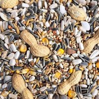 Supravit Papageienfutter für Papageien Aller Arten 5 kg Supravit Papageienfutter für Papageien Aller Arten 5 kg von Supravit