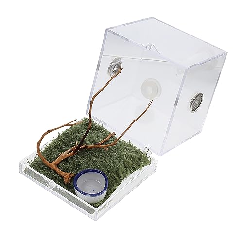 Supvox Springschwänze 5 Sätze Springspinnen-zuchtbox Spinnenfall Critter Insektenkäfig Miniträger Minizaun Insektenhäuser Mini Terrarium Mini-luftbefeuchter Tier Insekten Lebensraum Insektenhaus Acryl von Supvox