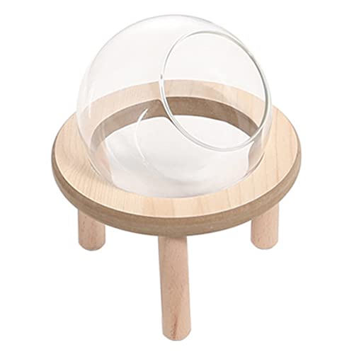 Supvox 1 Satz Glaskugel Badezimmer Schwammwickler für das Haar Topfdichtschwimmerventil Zinn Hamster klo Hamster Terrarium Hamster Sandbadglasbehälter Sandbadbehälter für Hamster hölzern von Supvox