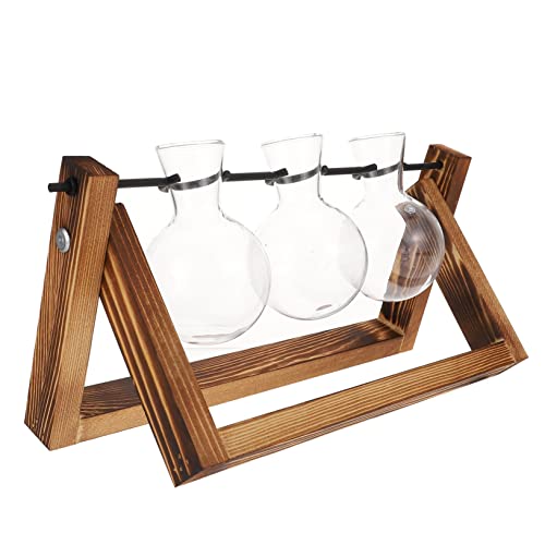 Supvox Blumenpflanzen Terrarien 1 Satz Hydroponischer Behälter Einmachgläser Hydroponik Glas Rotieren Schwenkrahmen Glasbehälter Terrarium von Supvox