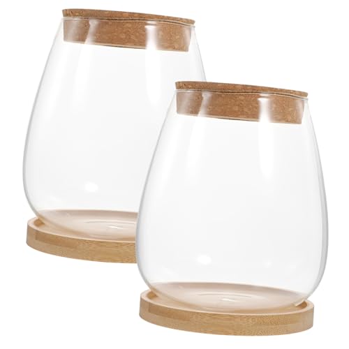 Supvox Jars 1 Satz Mikrolandschaftsblume Pflanzenbehälter Selber Machen Mikro-landschaftsbehälter Landschaft Flasche Mikro-landschaftsflasche Moos Ökologische Flasche Transparente Flasche Holz von Supvox