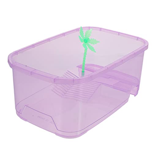 Supvox 1 Set-Box Schildkrötenbecken brutkasten für schildkröten Schildkrötenbrutkasten Reptilien-Wohnbecken Zubehör für Reptilien Haustier schildkröten zubehör Reptilienhalter Plastik von Supvox