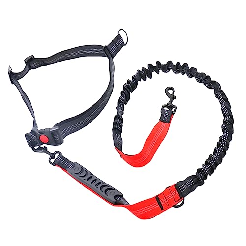 Supvox 1 STK elastisches Laufseil Zugseil elastische hundeleine Dog Lead Outdoor Hundeleine Trainingsleine für Hunde Haustiertraining Hundegeschirre Bungee Seil Hundeseil Seil Leine rot von Supvox