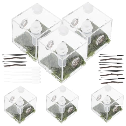 Supvox 10 Sets Springspinne Zuchtbox Gator Reptilienbecken Wirbellose Outdoor Einsiedlerkrebs Lebensraum Zoo Springspinne Zubehör Stacheliger Stabheuschreckenkäfig von Supvox