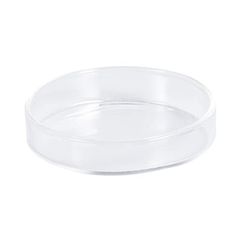 Supvox Garnelenfutter Runde Gerichte Glas Garnelen Gericht Fisch Feeder Bowl Aquarium Kristall Fütterung Tablett von Supvox