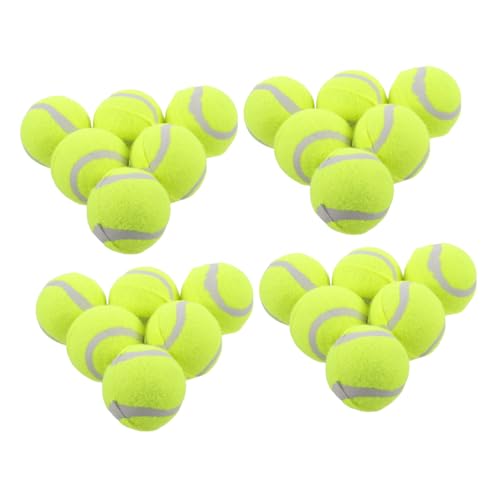 Supvox 22 Stück Hüpfspielzeug Für Hunde Tennisbälle B Kauspielzeug Für Kleine Hunde Heimtierbedarf Welpenspielzeug Für Kleine Hunde Hundebälle Kauspielzeug Für Kleine Hunde von Supvox