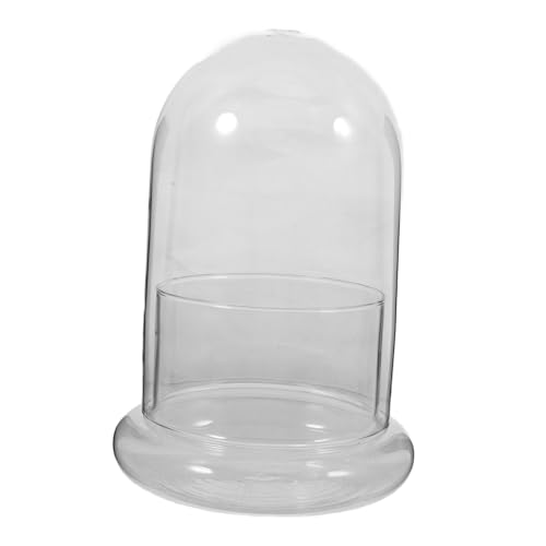 Supvox 2st Eco-Flasche Links Pflanzen Terrarium Steckmoos Vase Mikro-landschaftsbau-Container Moos Ökologische Flasche Leeres Terrarium Landschaftsbehälter Moos Landschaft Container Glas von Supvox