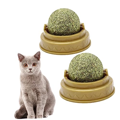 Supvox 2St Katzenbissball Spielzeug für Katze Leckereien für Katzen mit Katzenminze Health Wellness Katze leckt Ball Verdauungsförderer für Katzen Backenzahn Snacks für Katzen Minzkugeln von Supvox