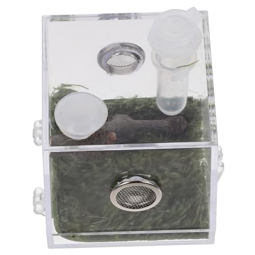 Supvox 3 Stück Box Springspinne Zuchtbox Kleine Spinne Tank Zuchtbehälter Reptilienspinnen Gehege Tank Vogelspinne Gehege Heimtierbedarf Springspinne Terrarium Inkubator Acryl von Supvox