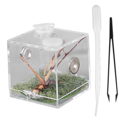 Supvox 6er-Box Springspinnen-zuchtbox Reptil Terrarium Gecko Fisch Dekor Bausätze Ameise Lebendiger Lebensraum Schlangengehege Mini-tierwächter Panzer Käfig Springende Spinne Acryl von Supvox