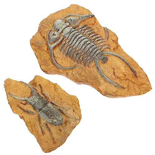 Supvox 8 STK simuliertes Harzfossil Reptile Decor Terrarium Decor Krabbelspielzeug Reptiliendekore selber Machen Grabset Terrariendekore für Kleintiere Dekore für Terrarien mit Schlangen von Supvox