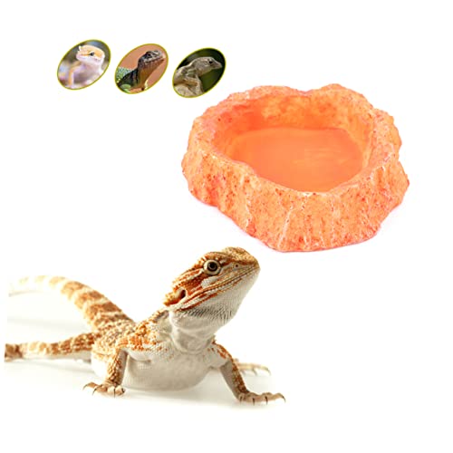 Supvox Futternapf für Haustiere Tank Reptil Zubehör für Geckos mit Haube Igel-Futterstation Hamster Frosch Lizard Feeder Dish Spider pet Feeder schleichtiere kriechender Futternapf Orange von Supvox