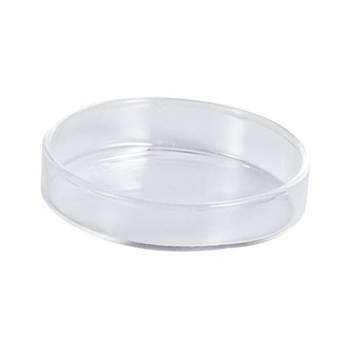 Supvox Garnelenfutterschale aus Glas Fish Tank Feeding Bowl Gecko-Futterschale Futternapf für Garnelen im Aquarium Süßwasser-Tray-Futter Garnelenfutter runde Gerichte Futternapf aus Glas von Supvox