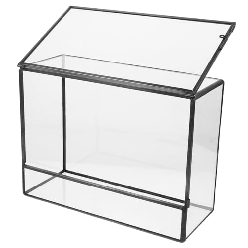 Supvox Kasten Glas-landschaftstank Glasterrarien Für Pflanzen Ökologischer Halter Terrarienglas Tischschmuck Einfaches Glasterrarium Dekorativer Glasbehälter Ökosystem Terrarium Zinn von Supvox