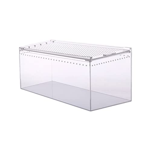 Supvox Kasten Krabbelbox Aus Acryl Haustiergehege Schildkrötenpanzer Schneckenbecken Vogelspinnengehege Leopardgecko Verstecken Schildkrötenzuchtfall Schildkrötenhaus Minizaun Transparent von Supvox