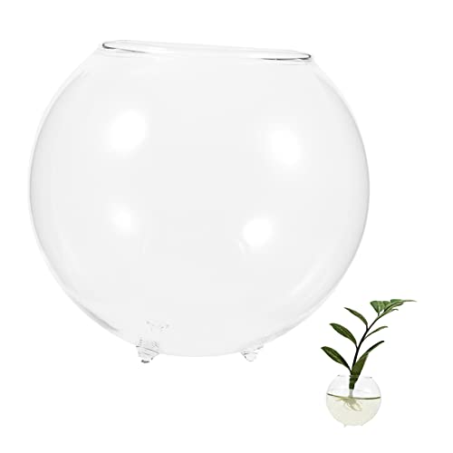 Supvox Micro-landschaftsvase Betta-Aquarium Terrarienschale Hydrokulturvase Bubble-Ball-vase Terrarium Vasen Zur Dekoration Töpfe Für Pflanzen Mini Fischtank Glas Schmücken Betta Fisch von Supvox