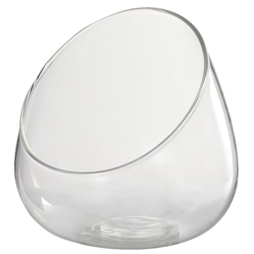 Supvox Mikro-landschaftsflasche Leere Flasche Selber Machen Schräg Geschnittenes Terrarium Vorratsflasche Desktop-sukkulentenflasche Dekorativer Mikro-landschaftsbehälter Glas Transparent von Supvox