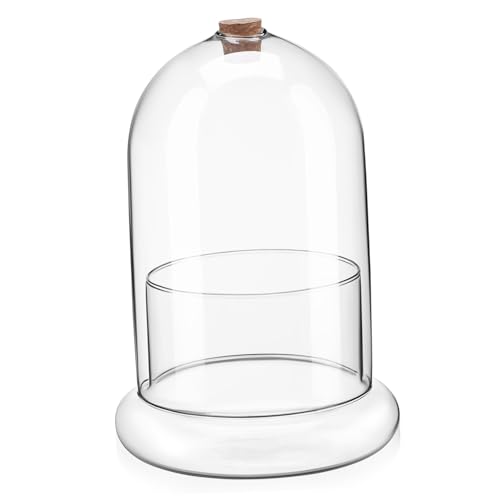 Supvox Mikrolandschaftsmoosbedeckung getrocknetes Moos klare Displaykuppel Glocke Mini Kuchenkuppeln künstliche blüten Artificial Blumenvase Ökosystem Terrarium Mini-Terrarium Glas von Supvox